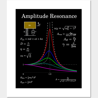 Amplitudes Response And Damping For Math Teachers Posters and Art